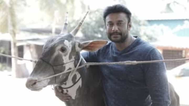 ‘ದರ್ಶನ್ ಓರ್ವ ರೌಡಿ, 10 ವರ್ಷದ ಹಿಂದೆಯೇ ಆ ಮುಖ ನೋಡಿದ್ದೇವೆ’; ಹೊರಬಿತ್ತು ಶಾಕಿಂಗ್ ಹೇಳಿಕೆ ‘ದರ್ಶನ್ ಓರ್ವ ರೌಡಿ, 10 ವರ್ಷದ ಹಿಂದೆಯೇ ಆ ಮುಖ ನೋಡಿದ್ದೇವೆ’; ಹೊರಬಿತ್ತು ಶಾಕಿಂಗ್ ಹೇಳಿಕೆ