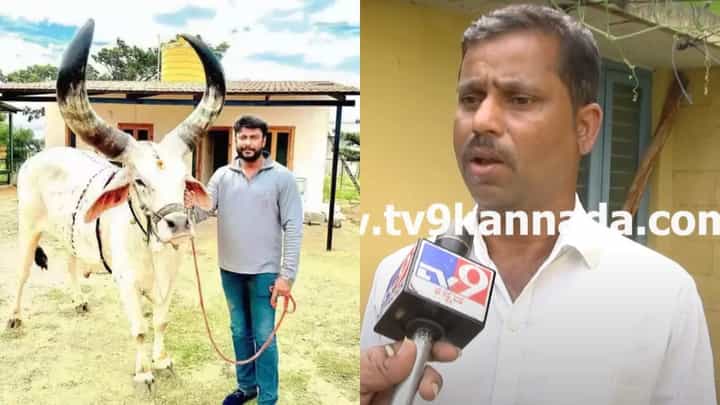 ‘ನ್ಯಾಯ ಕೇಳಲು ಹೋಗಿದ್ದ ನಮ್ಮ ಮೇಲೆ ನಾಯಿ ಛೂ ಬಿಟ್ಟಿದ್ದ ದರ್ಶನ್’ ‘ನ್ಯಾಯ ಕೇಳಲು ಹೋಗಿದ್ದ ನಮ್ಮ ಮೇಲೆ ನಾಯಿ ಛೂ ಬಿಟ್ಟಿದ್ದ ದರ್ಶನ್’
