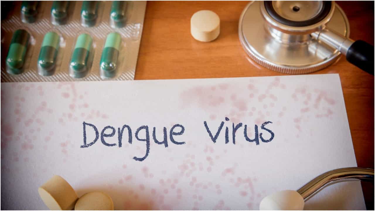Dengue cases in Karnataka: ಕರ್ನಾಟಕದಾದ್ಯಂತ ಡೆಂಗ್ಯೂ ಕೇಕೆ: ಈ ಬಾರಿ ಕಳೆದ ವರ್ಷಕ್ಕಿಂತ ದುಪ್ಪಟ್ಟು ಪ್ರಕರಣ, ಇಲ್ಲಿದೆ ವಿವರ Dengue cases in Karnataka: ಕರ್ನಾಟಕದಾದ್ಯಂತ ಡೆಂಗ್ಯೂ ಕೇಕೆ: ಈ ಬಾರಿ ಕಳೆದ ವರ್ಷಕ್ಕಿಂತ ದುಪ್ಪಟ್ಟು ಪ್ರಕರಣ, ಇಲ್ಲಿದೆ ವಿವರ