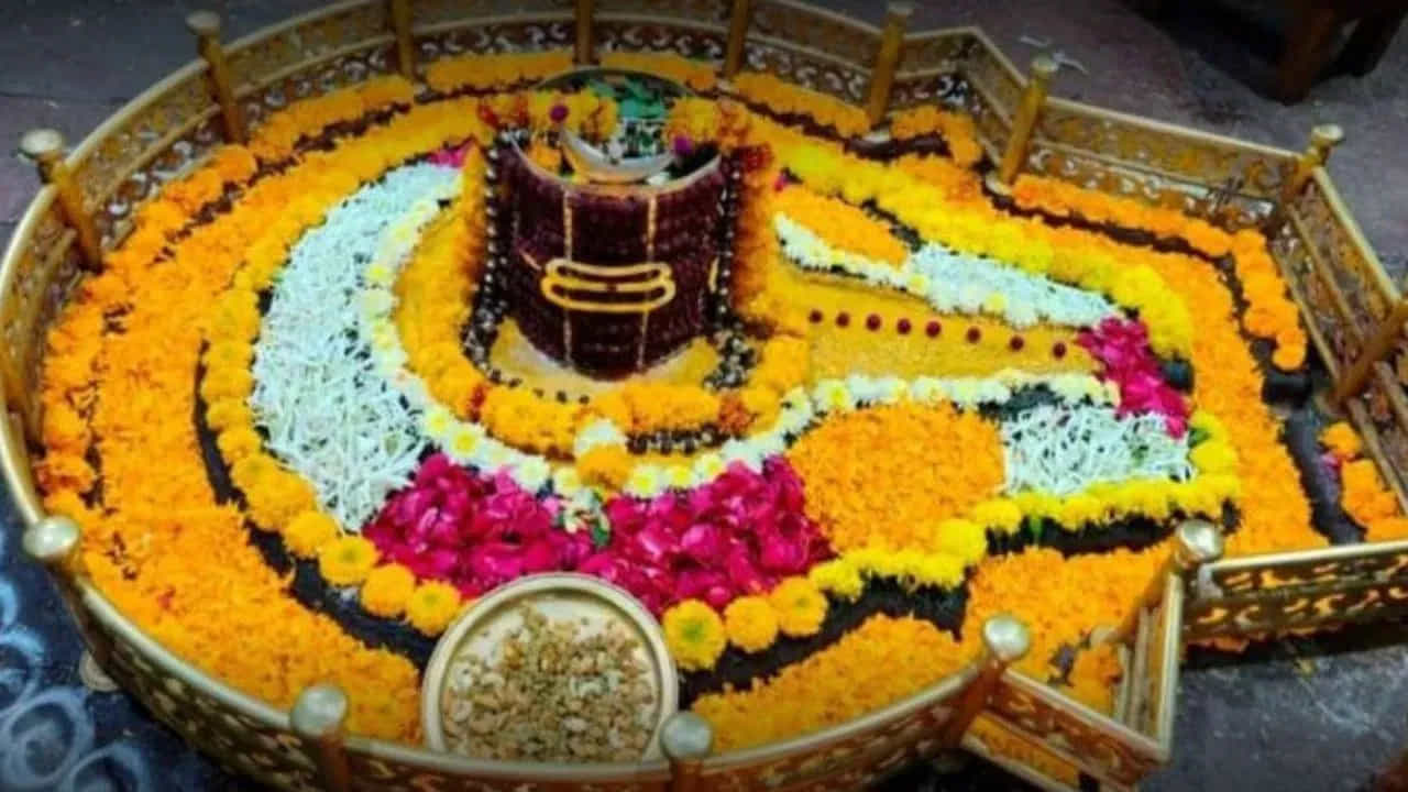 ತ್ರಿಮೂರ್ತಿಗಳ ಪೈಕಿ ಒಬ್ಬ ಸೃಷ್ಟಿ ಲಯಕಾರ ಶಿವನನ್ನು ಶ್ರದ್ಧಾ ಭಕ್ತಿಯಿಂದ ಪೂಜಿಸಿದರೆ ಇಷ್ಟಾರ್ಥಗಳು ಈಡೇರುತ್ತವೆ ಎಂಬುದು ಭಕ್ತರ ನಂಬಿಕೆ. ಅದೇ ಸಮಯದಲ್ಲಿ ಅವರು ಶಿವ ದೇವಾಲಯಗಳಿಗೆ ಹೋಗಿ ಶಿವನನ್ನು ಪೂಜಿಸುತ್ತಾರೆ. ಅದೇ ಸಮಯದಲ್ಲಿ ಅವರು ಜ್ಯೋತಿರ್ಲಿಂಗ ದರ್ಶನಕ್ಕಾಗಿ ಜ್ಯೋತಿರ್ಲಿಂಗ ಕ್ಷೇತ್ರಗಳಿಗೆ ಹೋಗುತ್ತಾರೆ. ಆದರೆ ಶಿವಲಿಂಗವು ಜ್ಯೋತಿರ್ಲಿಂಗಕ್ಕಿಂತ ಭಿನ್ನವಾಗಿಲ್ಲ ಎಂದು ಹಲವರು ಭಾವಿಸುತ್ತಾರೆ. ಕಾರ್ತಿಕ ಮಾಸವು ಶಿವನ ಮಾಸವಾಗಿದೆ. ಭಕ್ತರೆಲ್ಲರೂ ಹರಹರ ಮಹಾದೇವ ಎಂದು ಶಿವನನ್ನು ಭಕ್ತಿಯಿಂದ ಪೂಜಿಸುತ್ತಾರೆ. ಮಹಾದೇವನನ್ನು ಶಿವಲಿಂಗವೆಂದು ಅತ್ಯಂತ ಭಕ್ತಿಯಿಂದ ಪೂಜಿಸಿದರೂ ಜ್ಯೋತಿರ್ಲಿಂಗವನ್ನು ನೋಡುವ ಭಾಗ್ಯ ಎಲ್ಲರಿಗೂ ಸಿಗುವುದಿಲ್ಲ. ಶಿವಲಿಂಗವನ್ನು ಸಾಮಾನ್ಯವಾಗಿ ಶಿವನ ಪ್ರತಿರೂಪವಾಗಿ ಪೂಜಿಸಲಾಗುತ್ತದೆ. ಈಗ ಶಿವಲಿಂಗಕ್ಕೂ ಜ್ಯೋತಿರ್ಲಿಂಗಕ್ಕೂ ಇರುವ ವ್ಯತ್ಯಾಸ ತಿಳಿಯೋಣ..