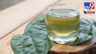 Diabetes Drinks: ಮಧುಮೇಹಿಗಳು ಸಕ್ಕರೆ ಮಟ್ಟ ನಿಯಂತ್ರಣದಲ್ಲಿಡಲು ಈ ರಸ ಸೇವನೆ ಮಾಡಿ