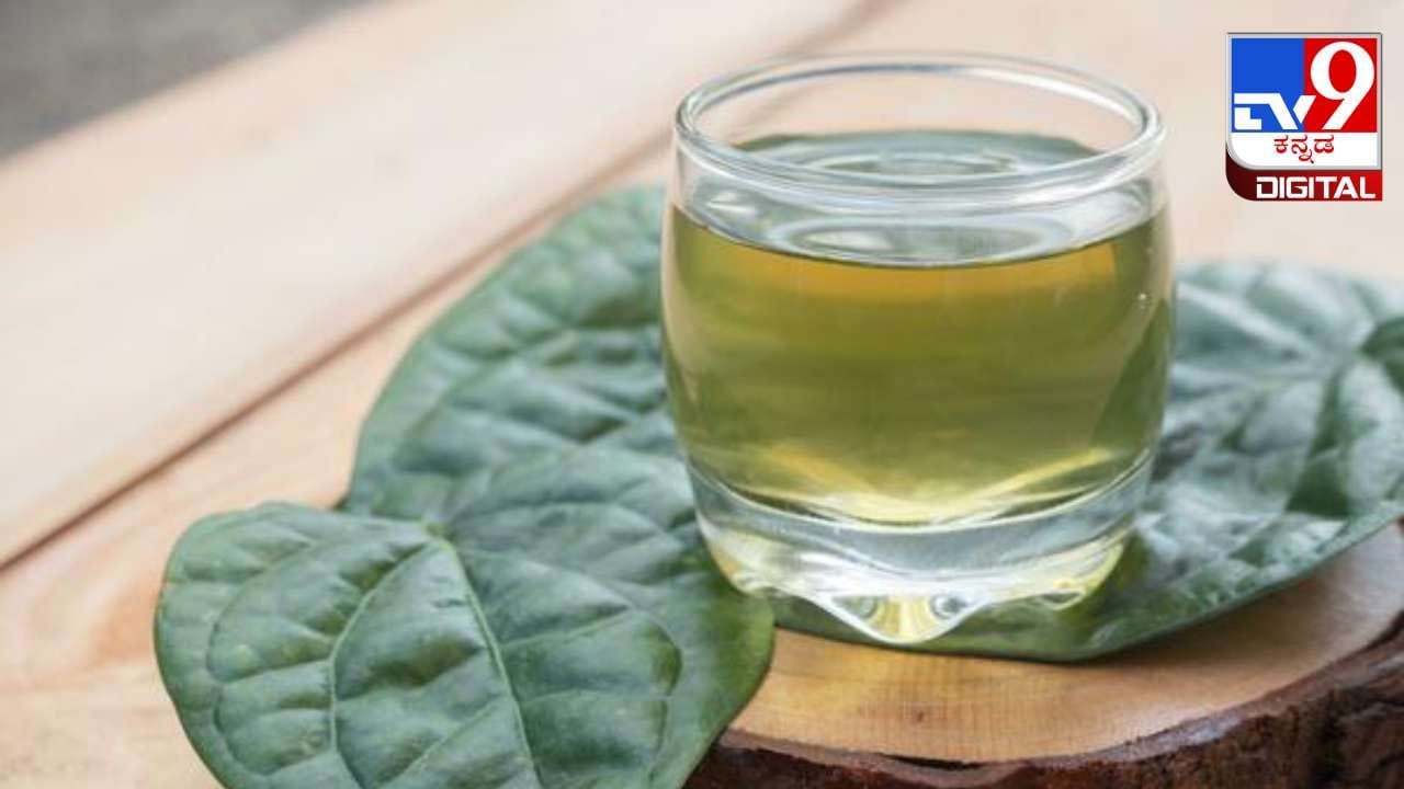 Health Tips: ವೀಳ್ಯದೆಲೆಯನ್ನು ನೀರಿನಲ್ಲಿ ಕುದಿಸಿ ಕುಡಿಯುವುದರಿಂದ ಆರೋಗ್ಯಕ್ಕೆ ಎಷ್ಟೆಲ್ಲಾ ಲಾಭಗಳಿವೆ ಗೊತ್ತಾ?
