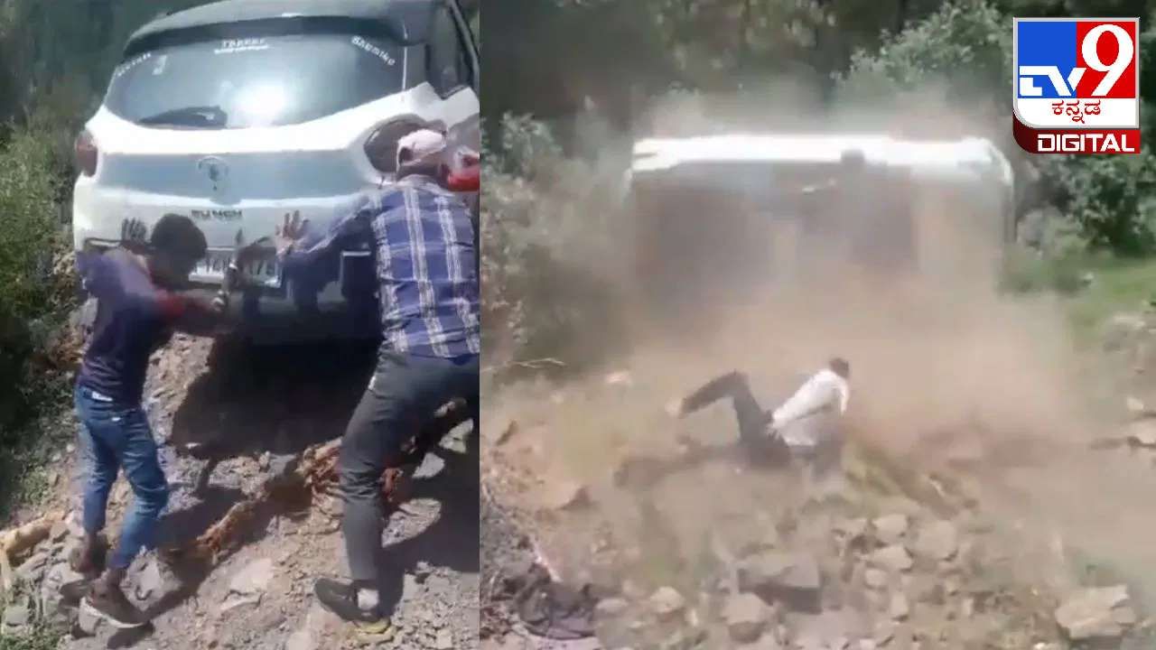 Video Viral: ಪ್ರಪಾತಕ್ಕೆ ಉರುಳಿದ ಕಾರು; ಪ್ರಾಣಾಪಾಯದಿಂದ ಪಾರಾದ ಚಾಲಕ