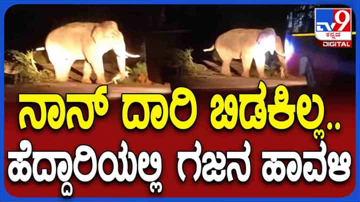 ಚಾರ್ಮಾಡಿ ಘಾಟ್ನಲ್ಲಿ KSRTC ಬಸ್ಗೆ ಅಡ್ಡನಿಂತ ಒಂಟಿ ಸಲಗ, ಮುಂದೇನಾಯ್ತು? ಚಾರ್ಮಾಡಿ ಘಾಟ್ನಲ್ಲಿ KSRTC ಬಸ್ಗೆ ಅಡ್ಡನಿಂತ ಒಂಟಿ ಸಲಗ, ಮುಂದೇನಾಯ್ತು?