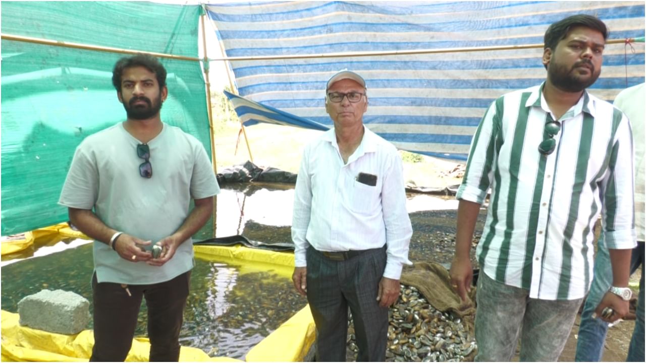 ಗದಗ: ಮುತ್ತು ಕೃಷಿ ಮಾಡಿ ಯಶಸ್ವಿಯಾದ ಎಂಬಿಎ ಹುಡುಗರು, ವಿಭಿನ್ನ ಕೃಷಿ ಮಾಡಿ ಲಕ್ಷ ಲಕ್ಷ ಆದಾಯ! ಗದಗ: ಮುತ್ತು ಕೃಷಿ ಮಾಡಿ ಯಶಸ್ವಿಯಾದ ಎಂಬಿಎ ಹುಡುಗರು, ವಿಭಿನ್ನ ಕೃಷಿ ಮಾಡಿ ಲಕ್ಷ ಲಕ್ಷ ಆದಾಯ!