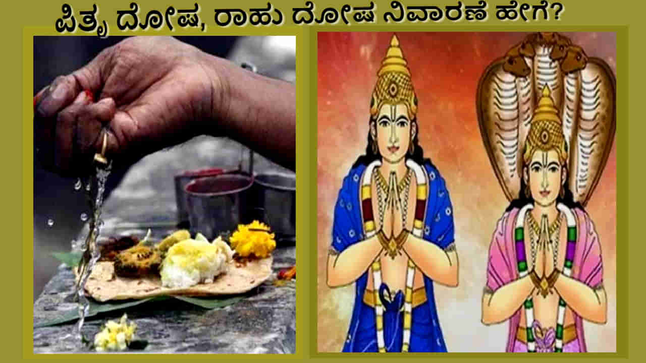 ಜ್ಯೇಷ್ಠ ಮಾಸದಲ್ಲಿ ಪಿತೃ ದೋಷ, ರಾಹು ದೋಷ ನಿವಾರಣೆಗಾಗಿ ಈ ಪರಿಹಾರ ಅನುಸರಿಸಿ... ಸಮಸ್ಯೆಗಳು ದೂರವಾಗುತ್ತವೆ