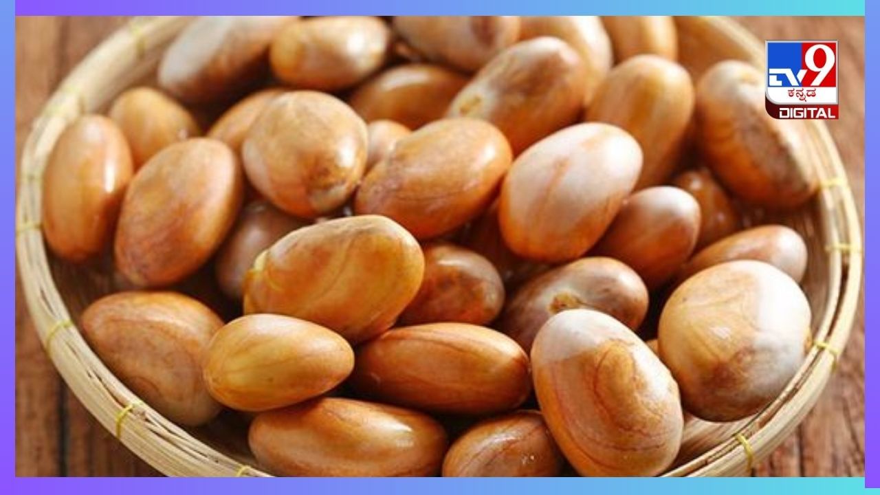 Jackfruit Seeds: ಲೈಂಗಿಕ ಆಸಕ್ತಿ ಹೆಚ್ಚಿಸಿಕೊಳ್ಳಲು ಹಲಸಿನ ಬೀಜಗಳನ್ನು ಸೇವನೆ ಮಾಡಿ