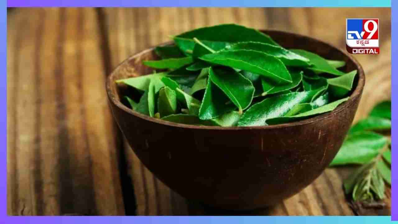 Curry Leaves: ಒಗ್ಗರಣೆಗೆ ಮಾತ್ರವಲ್ಲ, ಕರಿಬೇವು ಹಲವಾರು ರೀತಿಯ ಆರೋಗ್ಯ ಪ್ರಯೋಜನ ನೀಡುತ್ತೆ