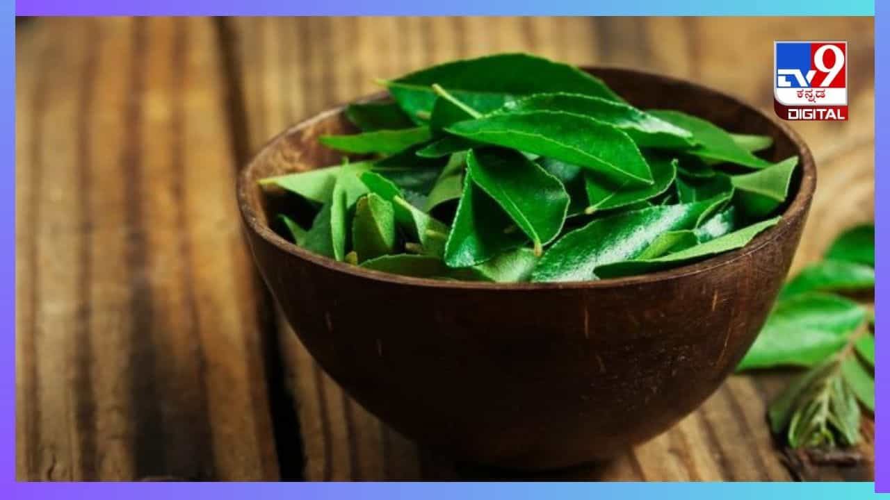 Curry Leaves: ಒಗ್ಗರಣೆಗೆ ಮಾತ್ರವಲ್ಲ, ಕರಿಬೇವು ಹಲವಾರು ರೀತಿಯ ಆರೋಗ್ಯ ಪ್ರಯೋಜನ ನೀಡುತ್ತೆ Curry Leaves: ಒಗ್ಗರಣೆಗೆ ಮಾತ್ರವಲ್ಲ, ಕರಿಬೇವು ಹಲವಾರು ರೀತಿಯ ಆರೋಗ್ಯ ಪ್ರಯೋಜನ ನೀಡುತ್ತೆ