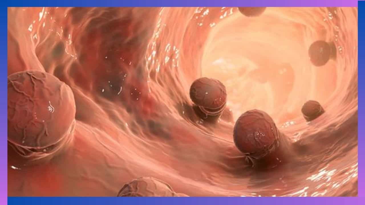 Cancer: ಯುವಜನರಲ್ಲಿ ಕ್ಯಾನ್ಸರ್ ಪ್ರಕರಣಗಳು ಹೆಚ್ಚಾಗಿ ಕಂಡು ಬರಲು ಕಾರಣವೇನು? ಇದಕ್ಕೆ ಪರಿಹಾರವೇನು?