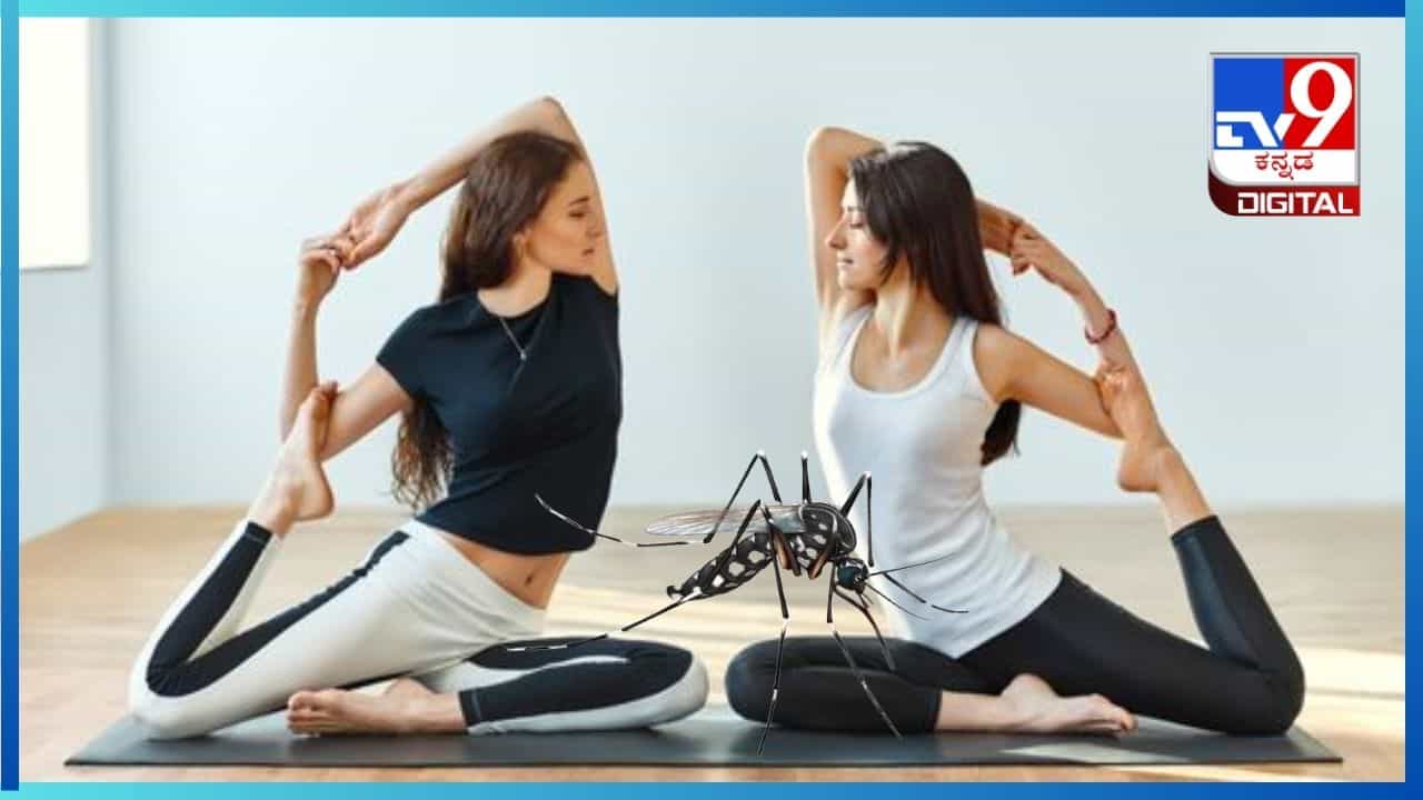 Yoga For Dengue: ಡೆಂಗ್ಯೂನಿಂದ ವೇಗವಾಗಿ ಚೇತರಿಸಿಕೊಳ್ಳಲು ಈ ಯೋಗಾಸನಗಳನ್ನು ಟ್ರೈ ಮಾಡಿ Yoga For Dengue: ಡೆಂಗ್ಯೂನಿಂದ ವೇಗವಾಗಿ ಚೇತರಿಸಿಕೊಳ್ಳಲು ಈ ಯೋಗಾಸನಗಳನ್ನು ಟ್ರೈ ಮಾಡಿ