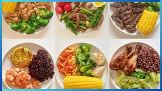 Chanakya Niti: ಗಂಡ- ಹೆಂಡಿರ ನಡುವೆ ಹೆಚ್ಚು ವಯಸ್ಸಿನ ಅಂತರ ಇರಬಾರದು ಏಕೆ ಗೊತ್ತಾ?