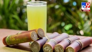 Alzheimer’s Disease: ಮೂಗಿನೊಳಗೆ ಬೆರಳು ಹಾಕುವ ಅಭ್ಯಾಸ ನಿಮಗಿದೆಯೇ? ಈ ಅಪಾಯಕಾರಿ ಕಾಯಿಲೆ ಬರಬಹುದು ಎಚ್ಚರ