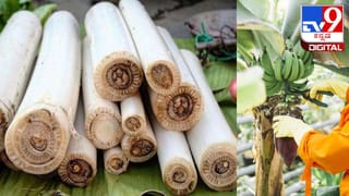 Health & Fitness Tips: ಬೆವರುವುದು ಆರೋಗ್ಯಕ್ಕೆ ಒಳ್ಳೆಯದು , ಯಾಕೆ ಗೊತ್ತಾ?