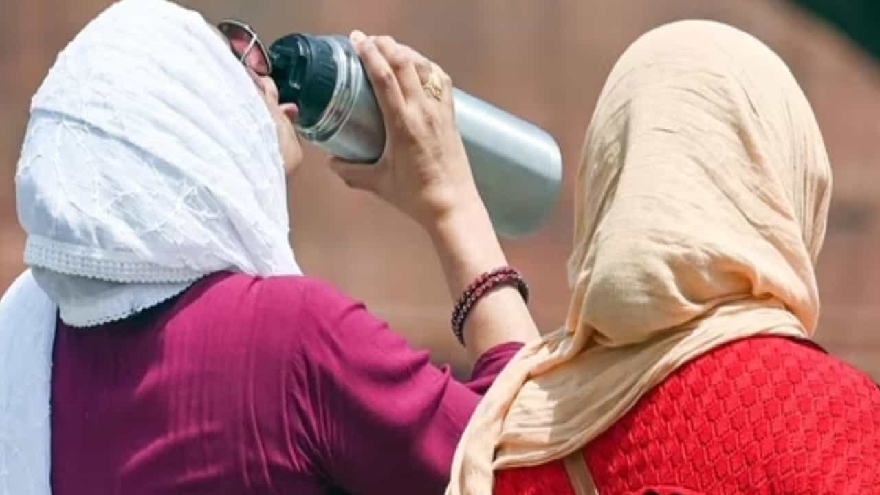 ಬಿಸಿಲಿನ ಆಘಾತಕ್ಕೊಳಗಾದ ರೋಗಿಗಳಿಗೆ ಆಸ್ಪತ್ರೆಯಲ್ಲಿ ಆದ್ಯತೆ ಮೇರೆಗೆ ಚಿಕಿತ್ಸೆ ನೀಡುವಂತೆ ಕೇಂದ್ರ ನಿರ್ದೇಶನ ಬಿಸಿಲಿನ ಆಘಾತಕ್ಕೊಳಗಾದ ರೋಗಿಗಳಿಗೆ ಆಸ್ಪತ್ರೆಯಲ್ಲಿ ಆದ್ಯತೆ ಮೇರೆಗೆ ಚಿಕಿತ್ಸೆ ನೀಡುವಂತೆ ಕೇಂದ್ರ ನಿರ್ದೇಶನ