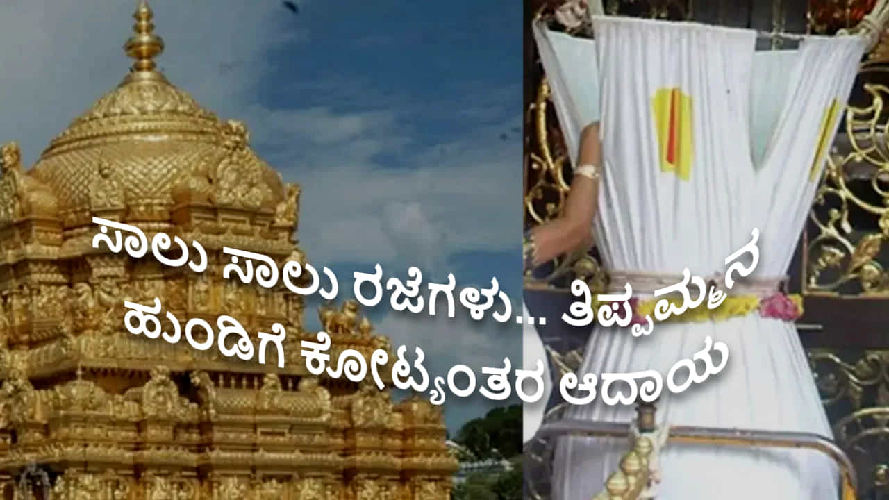 ಸಾಲು ಸಾಲು ರಜೆಗಳು... ತಿಪ್ಪಮ್ಮನ ಹುಂಡಿಗೆ ಹರಿದುಬರುತ್ತಿದೆ ಕೋಟ್ಯಂತರ ರೂ ಆದಾಯ ಸಾಲು ಸಾಲು ರಜೆಗಳು... ತಿಪ್ಪಮ್ಮನ ಹುಂಡಿಗೆ ಹರಿದುಬರುತ್ತಿದೆ ಕೋಟ್ಯಂತರ ರೂ ಆದಾಯ