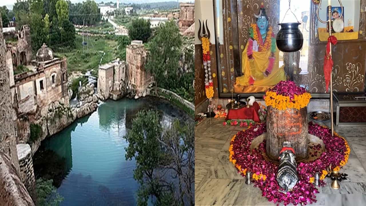 ಆಗ ಕೊಳದ ಬಳಿಗೆ ಬಂದ ಧರ್ಮರಾಜನು ಯಕ್ಷನು ಕೇಳಿದ ಪ್ರಶ್ನೆಗಳಿಗೆಲ್ಲ ತನ್ನ ಬುದ್ಧಿಮತ್ತೆಯನ್ನು ಉಪಯೋಗಿಸಿ ಉತ್ತರಿಸಿದನು. ಯಕ್ಷ ಯುಧಿಷ್ಠಿರನ ಬುದ್ಧಿವಂತಿಕೆಗೆ ಎಷ್ಟು ಸಂತೋಷಪಟ್ಟರು ಎಂದರೆ ಅವರು ಪಾಂಡವರಿಗೆ ಪ್ರಜ್ಞೆ ಮರಳುವಂತೆ ಮಾಡಿ, ಕೊಳದಲ್ಲಿ ನೀರು ಕುಡಿಯಲು ಅವಕಾಶ ಮಾಡಿಕೊಟ್ಟರು.