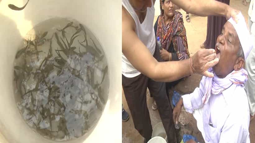 ಜೀವಂತ ಮೀನು ನುಂಗಲು ಮುಗಿಬಿದ್ದ ಜನ; ಏನಿದರ ಪ್ರಯೋಜನ?