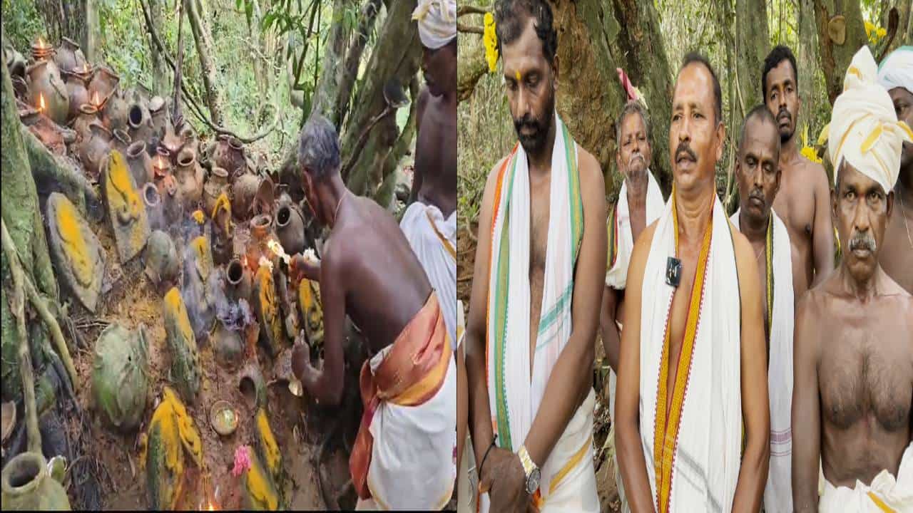 ನಾಗರ ಪಂಚಮಿಯಂದು ಇಲ್ಲಿ ನಡೆಯಲ್ಲ ಪೂಜೆ; ಮುಗ್ಗೇರ ಜನಾಂಗ ಆರಾಧಿಸುವ ಈ ನಾಗಾರಾಧನೆಯಲ್ಲಿದೆ ವಿಶಿಷ್ಟ ಹರಕೆ ನಾಗರ ಪಂಚಮಿಯಂದು ಇಲ್ಲಿ ನಡೆಯಲ್ಲ ಪೂಜೆ; ಮುಗ್ಗೇರ ಜನಾಂಗ ಆರಾಧಿಸುವ ಈ ನಾಗಾರಾಧನೆಯಲ್ಲಿದೆ ವಿಶಿಷ್ಟ ಹರಕೆ