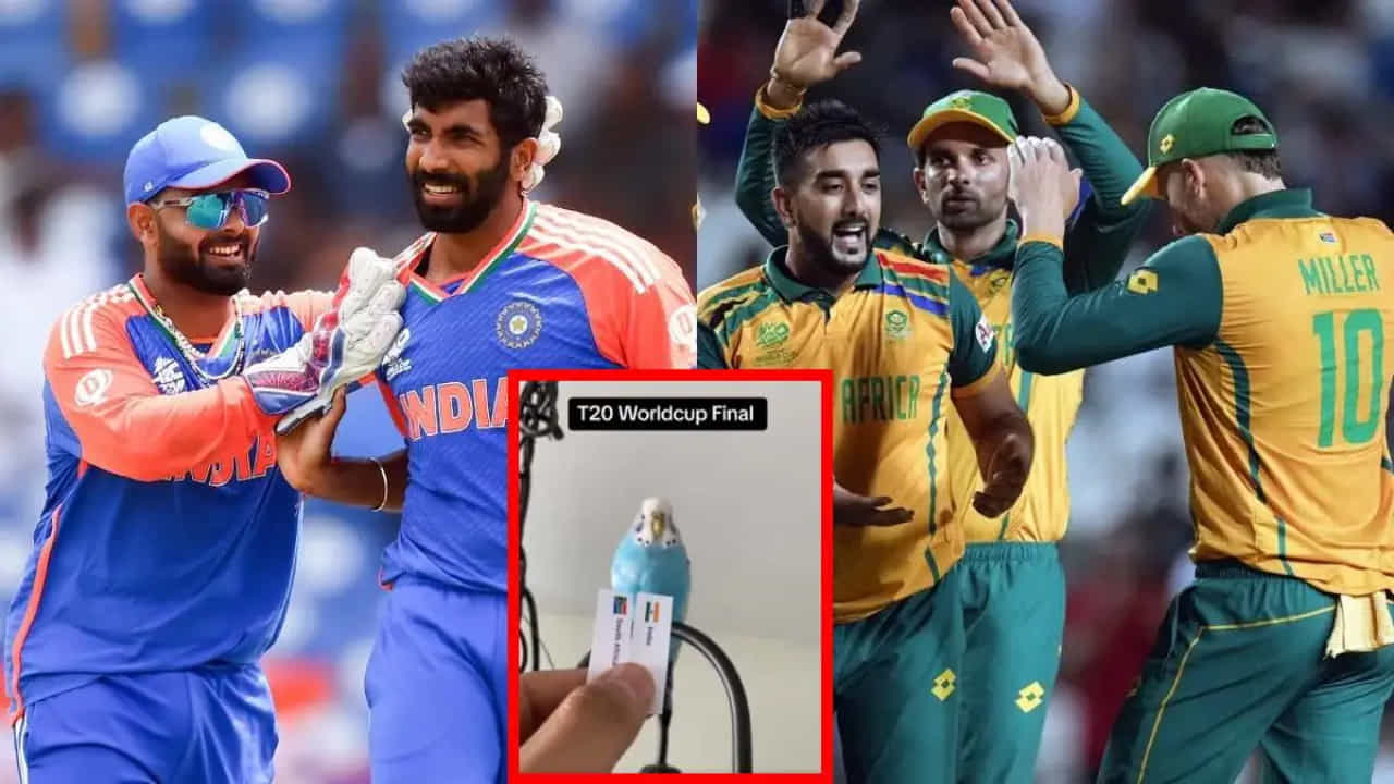 IND vs SA: ಯಾವ ತಂಡಕ್ಕೆ ಚಾಂಪಿಯನ್ ಕಿರೀಟ? ಭವಿಷ್ಯ ನುಡಿದ ಗಿಳಿ; ವಿಡಿಯೋ ವೈರಲ್ IND vs SA: ಯಾವ ತಂಡಕ್ಕೆ ಚಾಂಪಿಯನ್ ಕಿರೀಟ? ಭವಿಷ್ಯ ನುಡಿದ ಗಿಳಿ; ವಿಡಿಯೋ ವೈರಲ್