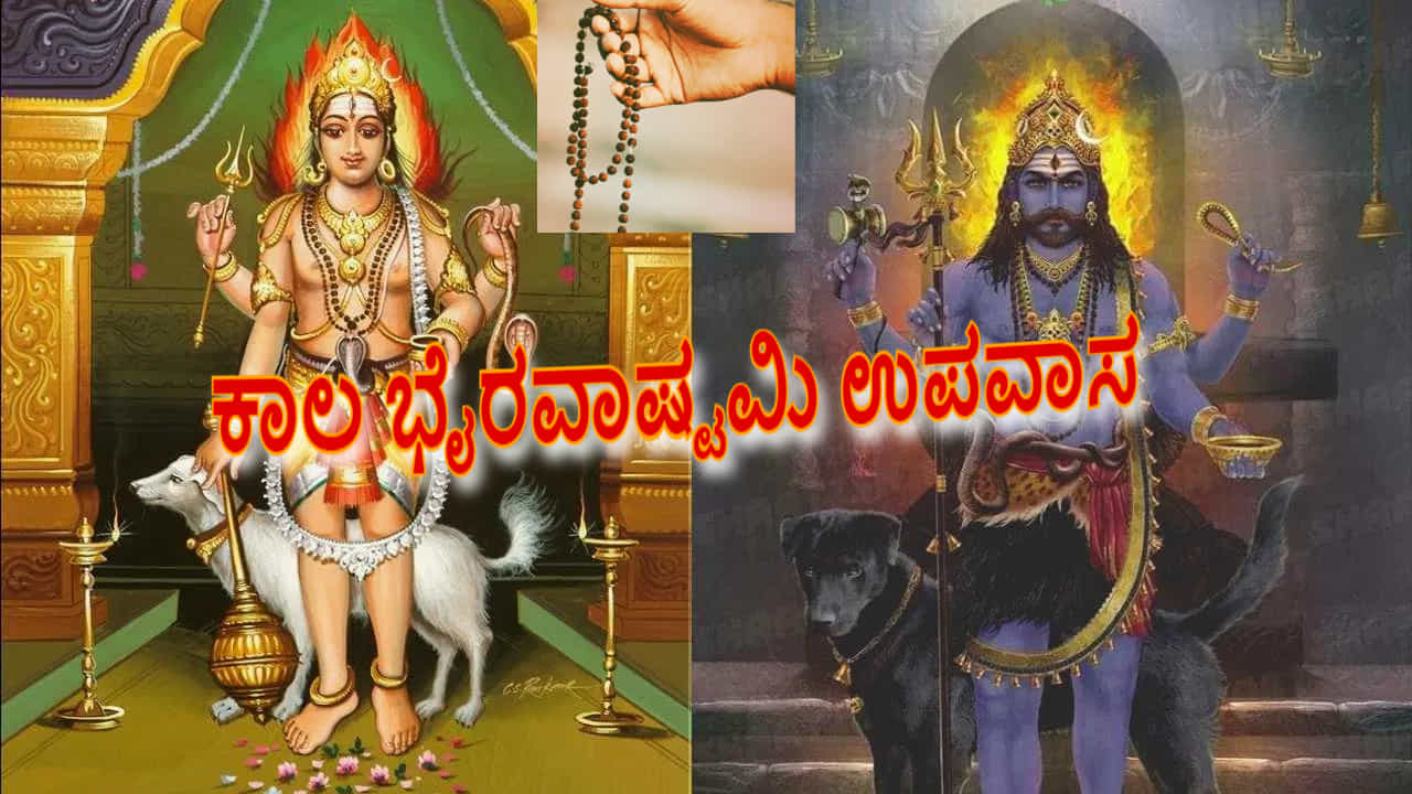 Kalbhairava ashtami 2024: ಕಾಲ ಭೈರವ ಅಷ್ಟಮಿ ಉಪವಾಸ: ಜೂನ್ 28 ಕಪ್ಪು ನಾಯಿಗೆ ಆಹಾರ ನೀಡಿ, ಶನೀಶ್ವರನೂ ಪ್ರಸನ್ನನಾಗುತ್ತಾನೆ Kalbhairava ashtami 2024: ಕಾಲ ಭೈರವ ಅಷ್ಟಮಿ ಉಪವಾಸ: ಜೂನ್ 28 ಕಪ್ಪು ನಾಯಿಗೆ ಆಹಾರ ನೀಡಿ, ಶನೀಶ್ವರನೂ ಪ್ರಸನ್ನನಾಗುತ್ತಾನೆ