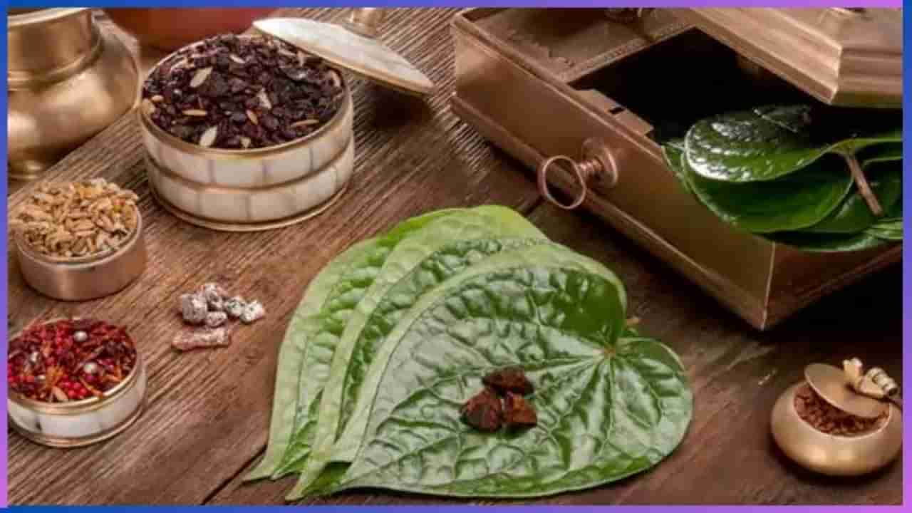 Betel Leaves: ಈ ರೋಗಕ್ಕೆ ವೀಳ್ಯದೆಲೆಯೇ ಮದ್ದು