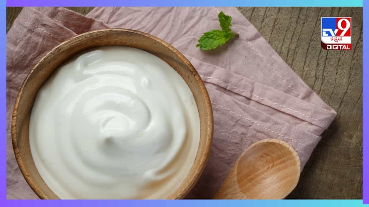 Curd : ಮೊಸರನ್ನು ಹುಳಿಯಾಗದಂತೆ ದೀರ್ಘಕಾಲ ಸಂಗ್ರಹಿಸಿಡುವುದೇಗೆ? ಈ ಟಿಪ್ಸ್ ಫಾಲೋ ಮಾಡಿ