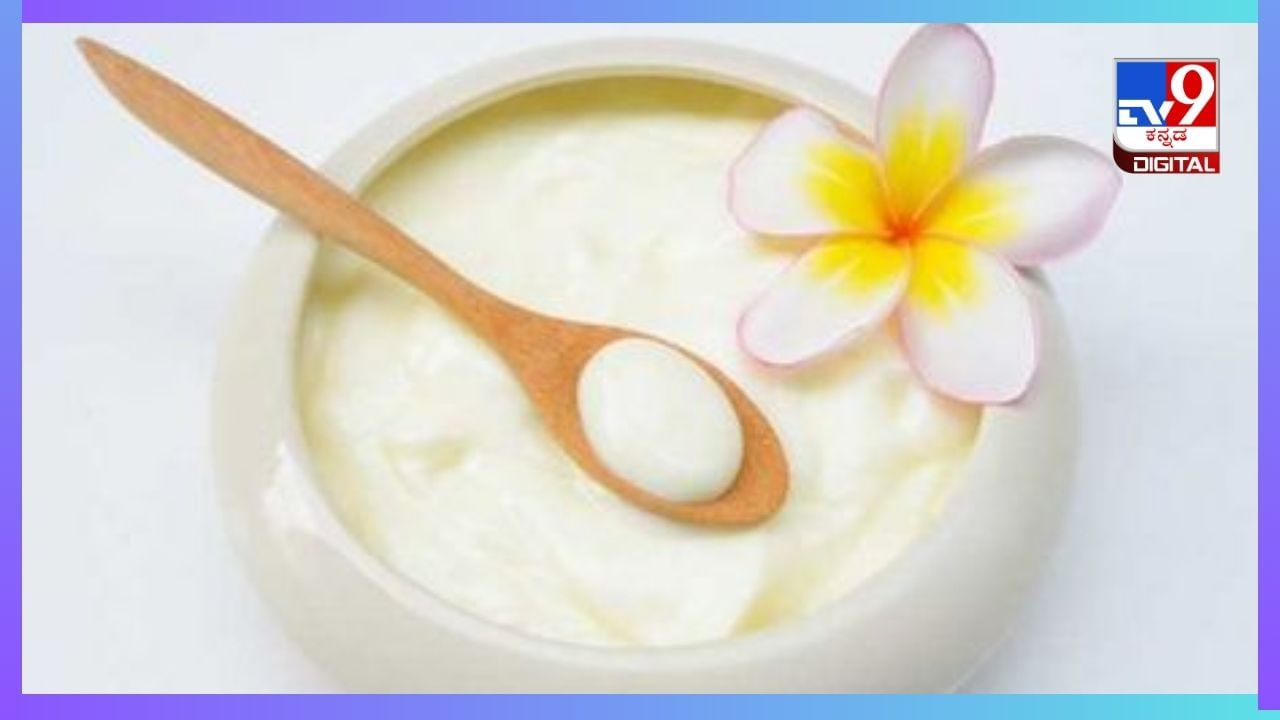 Skin Care : ಮೊಸರಿನಲ್ಲಿದೆ ಸೌಂದರ್ಯದ ಗುಟ್ಟು, ಹೀಗೆ ಬಳಸಿದರೆ ತ್ವಚೆಯಲ್ಲಾಗುತ್ತೆ ಮ್ಯಾಜಿಕ್ Skin Care : ಮೊಸರಿನಲ್ಲಿದೆ ಸೌಂದರ್ಯದ ಗುಟ್ಟು, ಹೀಗೆ ಬಳಸಿದರೆ ತ್ವಚೆಯಲ್ಲಾಗುತ್ತೆ ಮ್ಯಾಜಿಕ್
