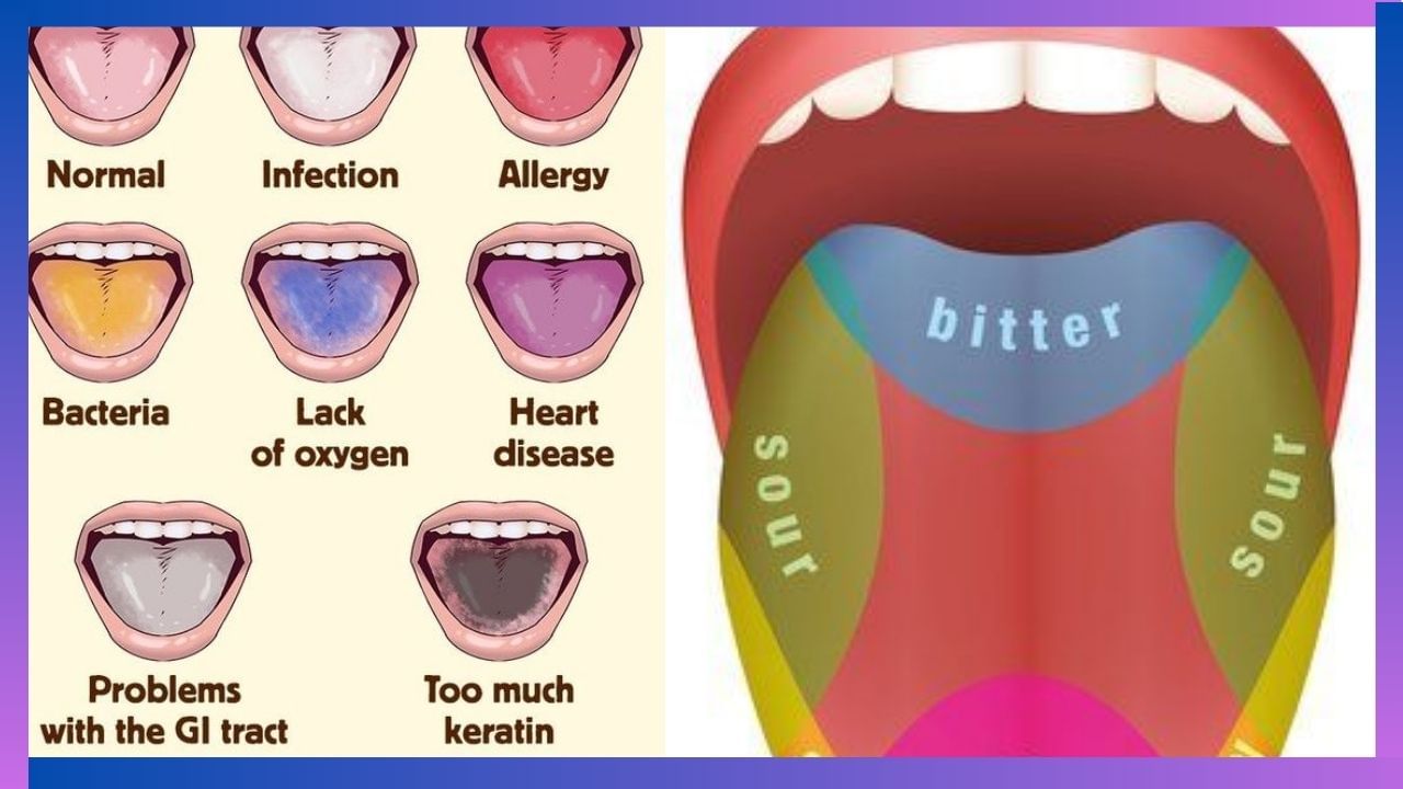 Health Tips: ನಿಮ್ಮ ನಾಲಿಗೆಯ ಬಣ್ಣ ನಿಮ್ಮ ಆರೋಗ್ಯವನ್ನು ಹೇಳುತ್ತದೆ, ಅದು ಹೇಗೆ?