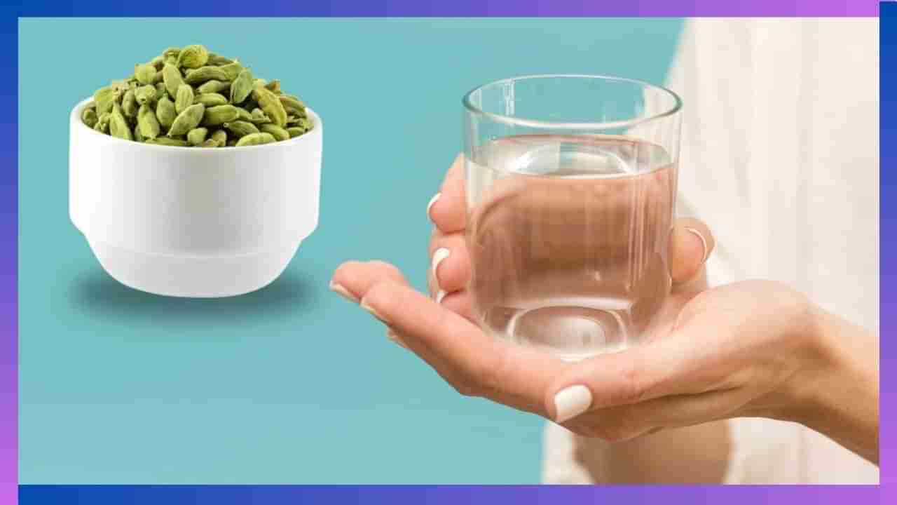 Elaichi Water Benefits: ಏಲಕ್ಕಿ ನೀರನ್ನು ಕುಡಿದು ತೂಕ ಕಡಿಮೆ ಮಾಡಿಕೊಳ್ಳಬಹುದೇ?