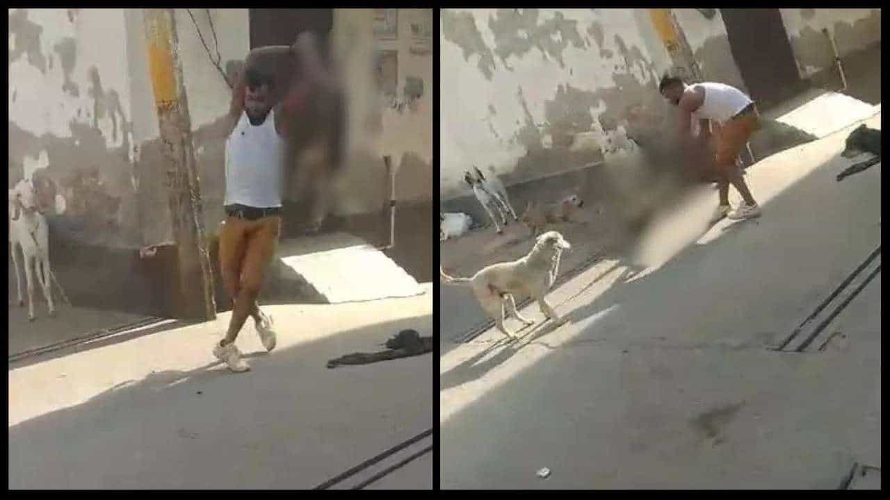 Viral Video: ಇವನೇನು ಮನುಷ್ಯನಾ ರಾಕ್ಷಸನಾ, ಶ್ವಾನವನ್ನು ಮನಬಂದಂತೆ ನೆಲಕ್ಕೆ ಬಡಿಯುತ್ತಿರುವ ವ್ಯಕ್ತಿ Viral Video: ಇವನೇನು ಮನುಷ್ಯನಾ ರಾಕ್ಷಸನಾ, ಶ್ವಾನವನ್ನು ಮನಬಂದಂತೆ ನೆಲಕ್ಕೆ ಬಡಿಯುತ್ತಿರುವ ವ್ಯಕ್ತಿ