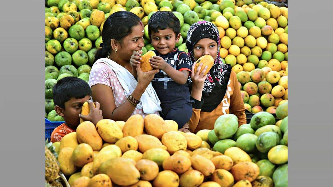ಬೆಂಗಳೂರು ಮಾವಿನ ಮೇಳದಲ್ಲಿ 500 ಟನ್ ಮಾವು ಮಾರಾಟ ಬೆಂಗಳೂರು ಮಾವಿನ ಮೇಳದಲ್ಲಿ 500 ಟನ್ ಮಾವು ಮಾರಾಟ