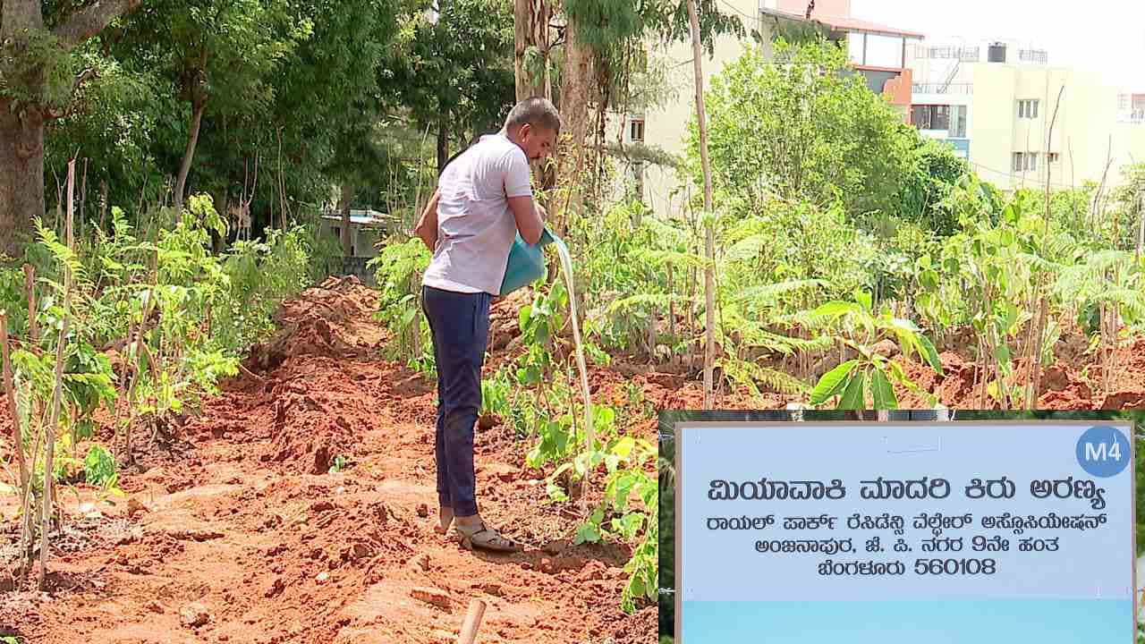 ಹಸಿರೀಕರಣ ಹೆಚ್ಚಿಸಲು ಬೆಂಗಳೂರಿನಲ್ಲಿ ಮಿಯಾವಾಕಿ ಫಾರೆಸ್ಟ್ ನಿರ್ಮಾಣ ಹಸಿರೀಕರಣ ಹೆಚ್ಚಿಸಲು ಬೆಂಗಳೂರಿನಲ್ಲಿ ಮಿಯಾವಾಕಿ ಫಾರೆಸ್ಟ್ ನಿರ್ಮಾಣ