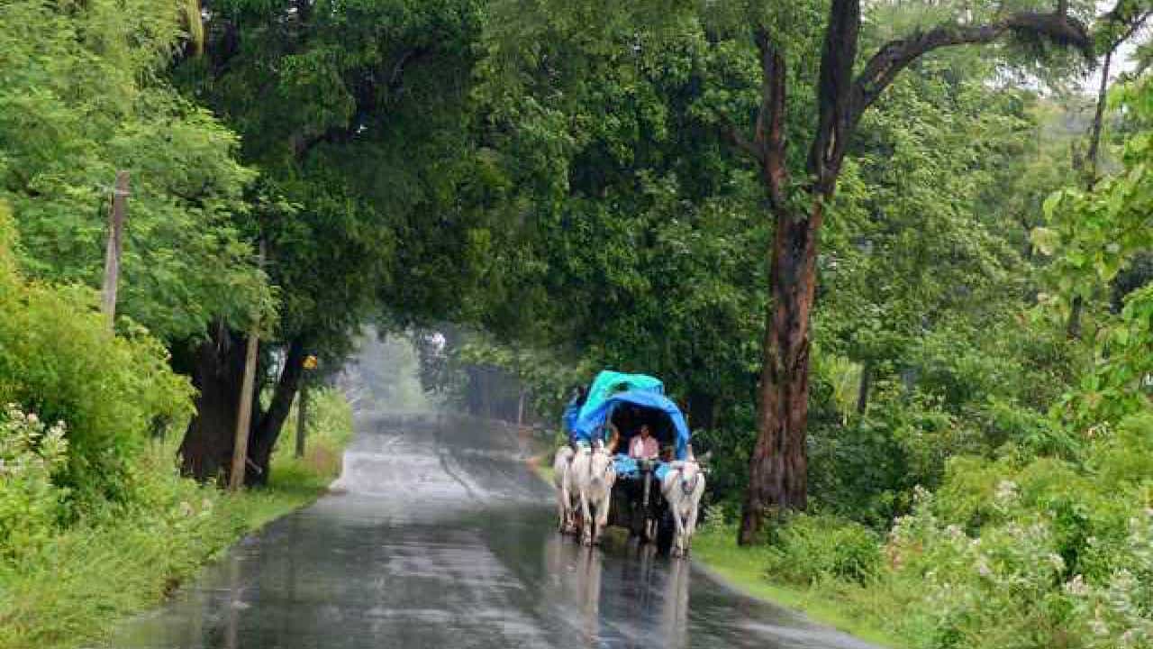 Karnataka Rains: ಬೆಳಗಾವಿ, ಬೀದರ್, ರಾಯಚೂರು ಸೇರಿದಂತೆ ಕರ್ನಾಟಕದ ಉತ್ತರ ಒಳನಾಡಿನಲ್ಲಿ ಭಾರಿ ಮಳೆಯ ನಿರೀಕ್ಷೆ