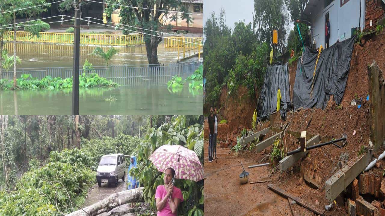 ಕೊಡಗಿನಲ್ಲಿ ಆರ್ದ್ರಾ ಮಳೆ ಆರ್ಭಟಕ್ಕೆ ಕಂಗಾಲಾದ ಜನ; ನೆಲಕ್ಕುರುಳಿದ ವಿದ್ಯುತ್​ ಕಂಬ, ಬೃಹತ್​ ಮರಗಳು