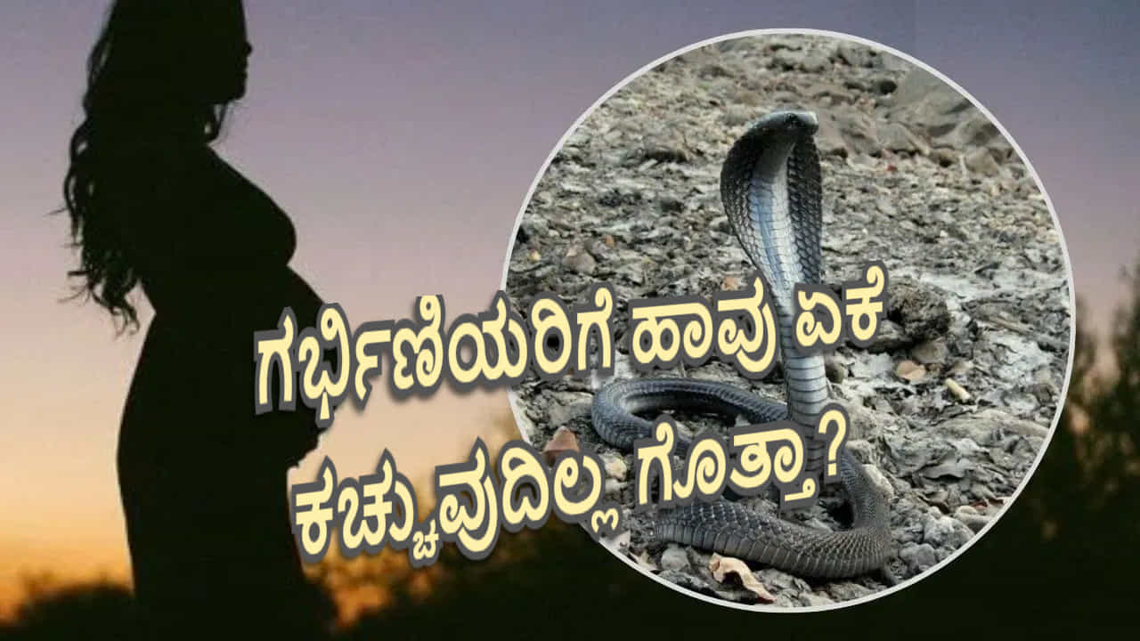 ಗರ್ಭಿಣಿಯರಿಗೆ ಹಾವು ಏಕೆ ಕಚ್ಚುವುದಿಲ್ಲ ಗೊತ್ತಾ? ಪುರಾಣದಲ್ಲಿದೆ ಆ ರಹಸ್ಯ ಮಾಹಿತಿ! ಗರ್ಭಿಣಿಯರಿಗೆ ಹಾವು ಏಕೆ ಕಚ್ಚುವುದಿಲ್ಲ ಗೊತ್ತಾ? ಪುರಾಣದಲ್ಲಿದೆ ಆ ರಹಸ್ಯ ಮಾಹಿತಿ!