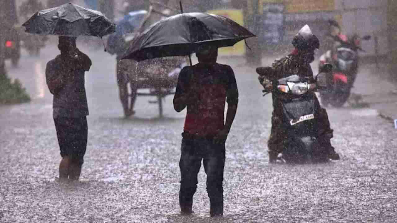 Karnataka Rains: ಶಿವಮೊಗ್ಗ, ಹಾಸನ, ಮೈಸೂರು ಸೇರಿ ಕರ್ನಾಟಕದ ಬಹುತೇಕ ಕಡೆ ಹೆಚ್ಚು ಮಳೆ