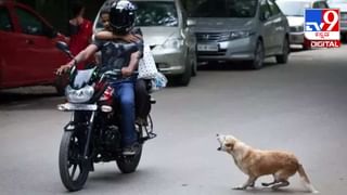 Global Day of Parents 2024: ಅಮ್ಮನ ಮಡಿಲು, ಅಪ್ಪನ ಹೆಗಲು ಸ್ವರ್ಗಕ್ಕಿಂತಲೂ ಮಿಗಿಲು