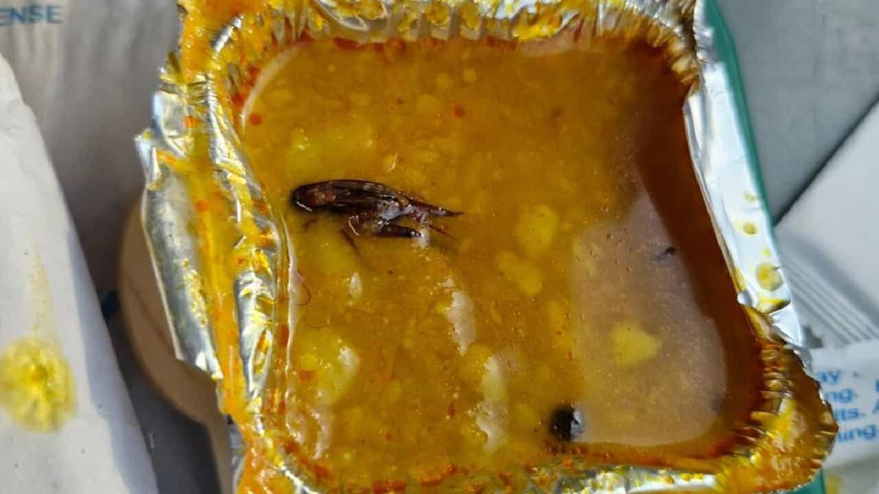 ವಂದೇ ಭಾರತ್ ರೈಲಿನಲ್ಲಿ ನೀಡಿದ ಊಟದಲ್ಲಿ ಜಿರಳೆ ಪತ್ತೆ; IRCTCಯಿಂದ ದಂಡ ವಂದೇ ಭಾರತ್ ರೈಲಿನಲ್ಲಿ ನೀಡಿದ ಊಟದಲ್ಲಿ ಜಿರಳೆ ಪತ್ತೆ; IRCTCಯಿಂದ ದಂಡ