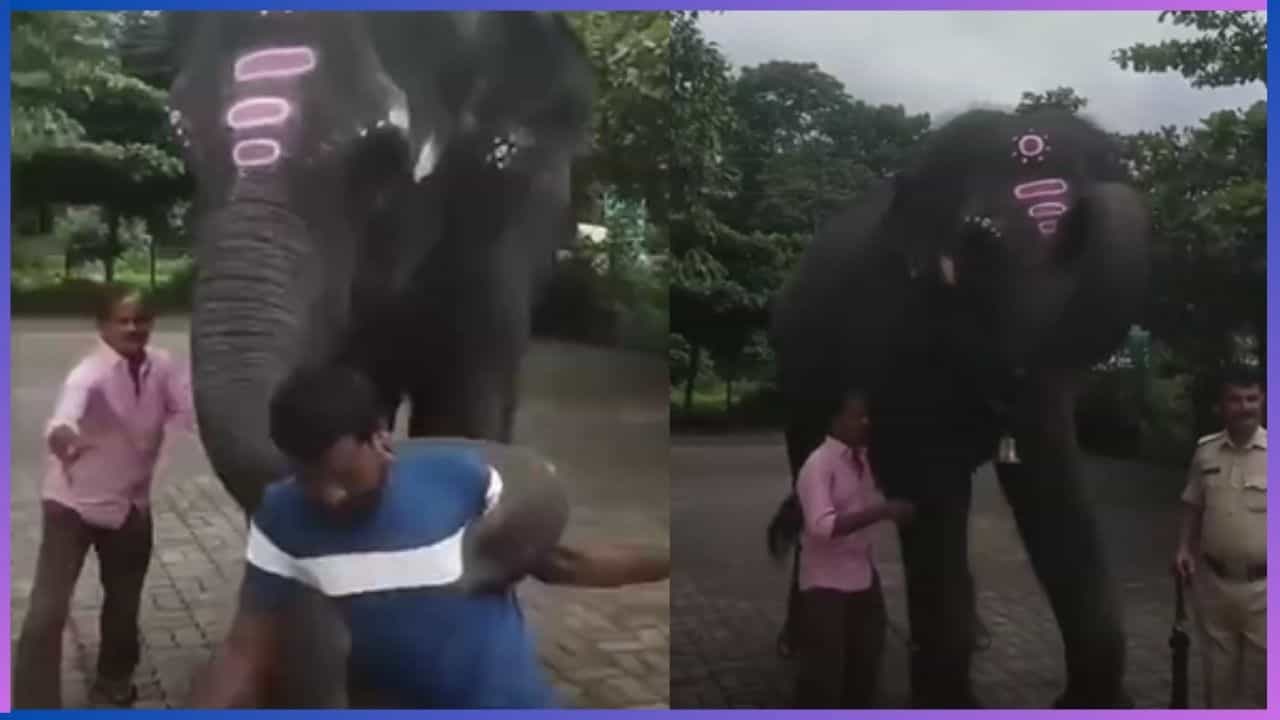 Viral Video: ಇಲ್ಲಿಗೆ ಕುಡ್ಕೊಂಡು ಬಂದಿದ್ಯೇನೋ.. ಕುಡುಕನನ್ನು ಕೋಪದಿಂದ ಎತ್ತೆಸೆದ ಕುಕ್ಕೆ ಸುಬ್ರಮಣ್ಯ ದೇಗುಲದ ಆನೆ