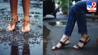 Snake Handling Tips : ಮಳೆಗಾಲದಲ್ಲಿ ಮನೆಯೊಳಗೆ ಹಾವು ಬರದಂತೆ ತಡೆಯೋದು ಹೇಗೆ? ಇಲ್ಲಿದೆ ಸಿಂಪಲ್ ಟಿಪ್ಸ್