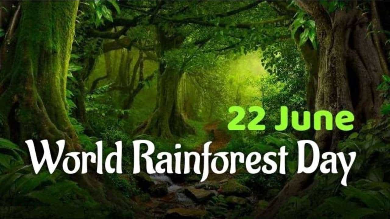 World Rainforest Day 2024 : ಜೀವ ವೈವಿಧ್ಯದ ಉಳಿವಿಗೆ ಕಾಡು ಬೆಳೆಸಿ ನಾಡು ಉಳಿಸೋಣ World Rainforest Day 2024 : ಜೀವ ವೈವಿಧ್ಯದ ಉಳಿವಿಗೆ ಕಾಡು ಬೆಳೆಸಿ ನಾಡು ಉಳಿಸೋಣ