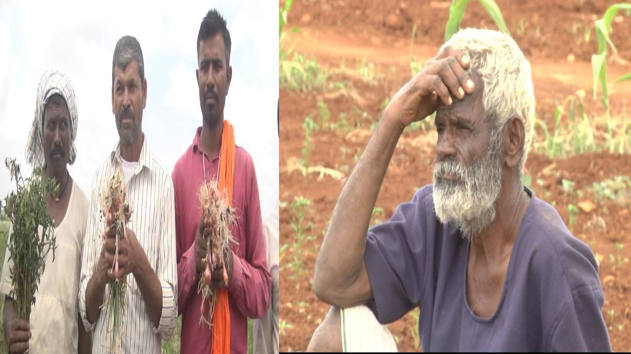 ಬೆಳೆ ಹಾನಿ, ಬರ; ಬಾಗಲಕೋಟೆ ಜಿಲ್ಲೆಯಲ್ಲಿ ಒಂದೂವರೆ ವರ್ಷದಲ್ಲಿ 24 ರೈತರು ಆತ್ಮಹತ್ಯೆಗೆ ಶರಣು ಬೆಳೆ ಹಾನಿ, ಬರ; ಬಾಗಲಕೋಟೆ ಜಿಲ್ಲೆಯಲ್ಲಿ ಒಂದೂವರೆ ವರ್ಷದಲ್ಲಿ 24 ರೈತರು ಆತ್ಮಹತ್ಯೆಗೆ ಶರಣು