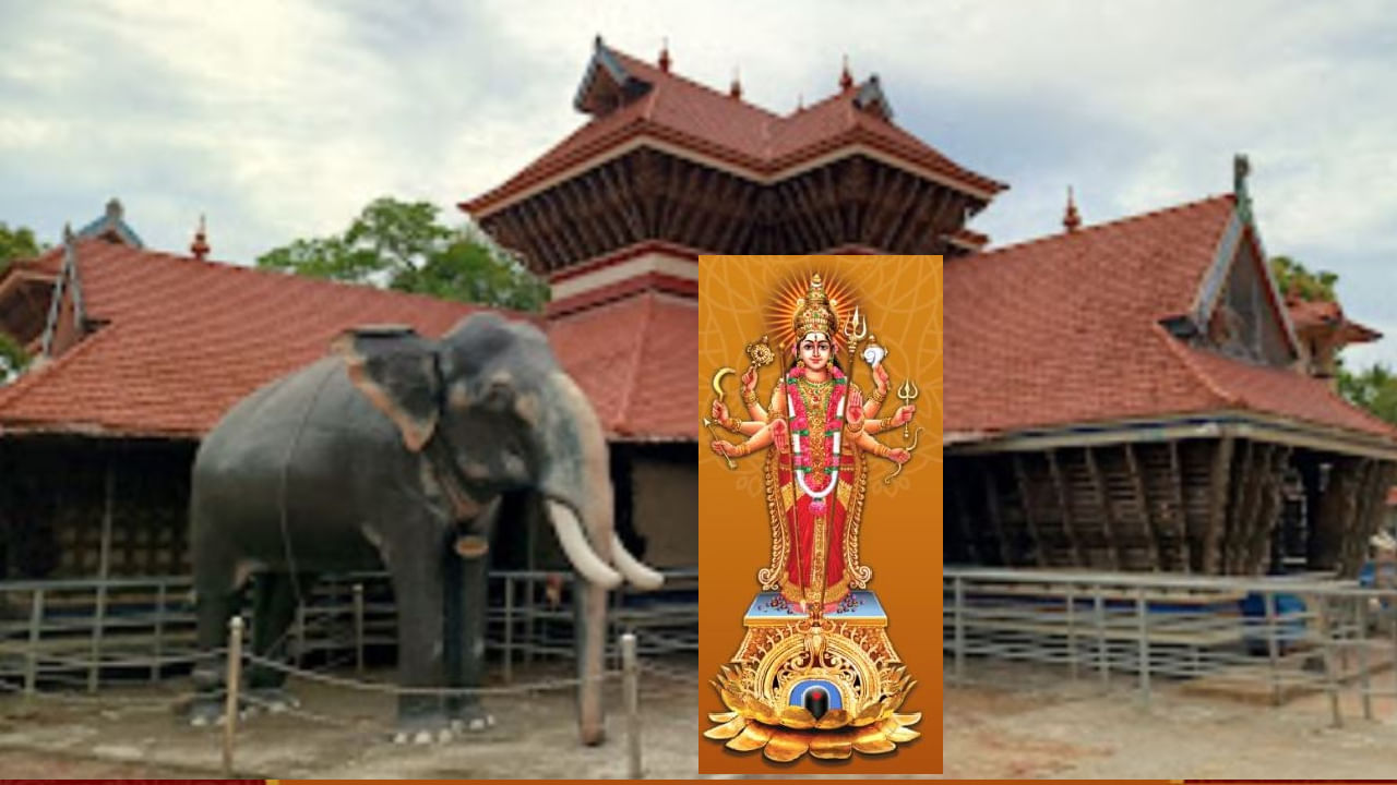 ಚಕ್ಕುಲತುಕಾವು ದೇವಸ್ಥಾನ, ಕೇರಳ (Chakkulathukavu Temple, Kerala): ಚಕ್ಕುಲತುಕಾವು ದೇವಸ್ಥಾನವು ವಾರ್ಷಿಕ ಪ್ರಧಾನ ಪೂಜೆಯಾದ 'ನಾರಿ ಪೂಜೆ'ಗೆ ಹೆಸರುವಾಸಿ, ಡಿಸೆಂಬರ್ ಮೊದಲ ಶುಕ್ರವಾರದಂದು ನಡೆಯುತ್ತದೆ. ಇಲ್ಲಿ ಅರ್ಚಕರು (priests) ಮಹಿಳಾ ಭಕ್ತರ (women devotees) ಪಾದಗಳನ್ನು ತೊಳೆಯುತ್ತಾರೆ. ಇಲ್ಲಿ ಪುರುಷರಿಗೆ ಪ್ರವೇಶವಿಲ್ಲ.
