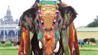 Bharat Mata Temple: ಬನ್ನಿ ಪುರಾತನ ಭಾರತ ಮಾತೆ ದೇವಸ್ಥಾನಕ್ಕೆ ಹೋಗಿಬರೋಣ, ಇಲ್ಲಿ ದೇವರುಗಳಿಲ್ಲ -ದೇಶಭಕ್ತಿ ತುಂಬಿದೆ!