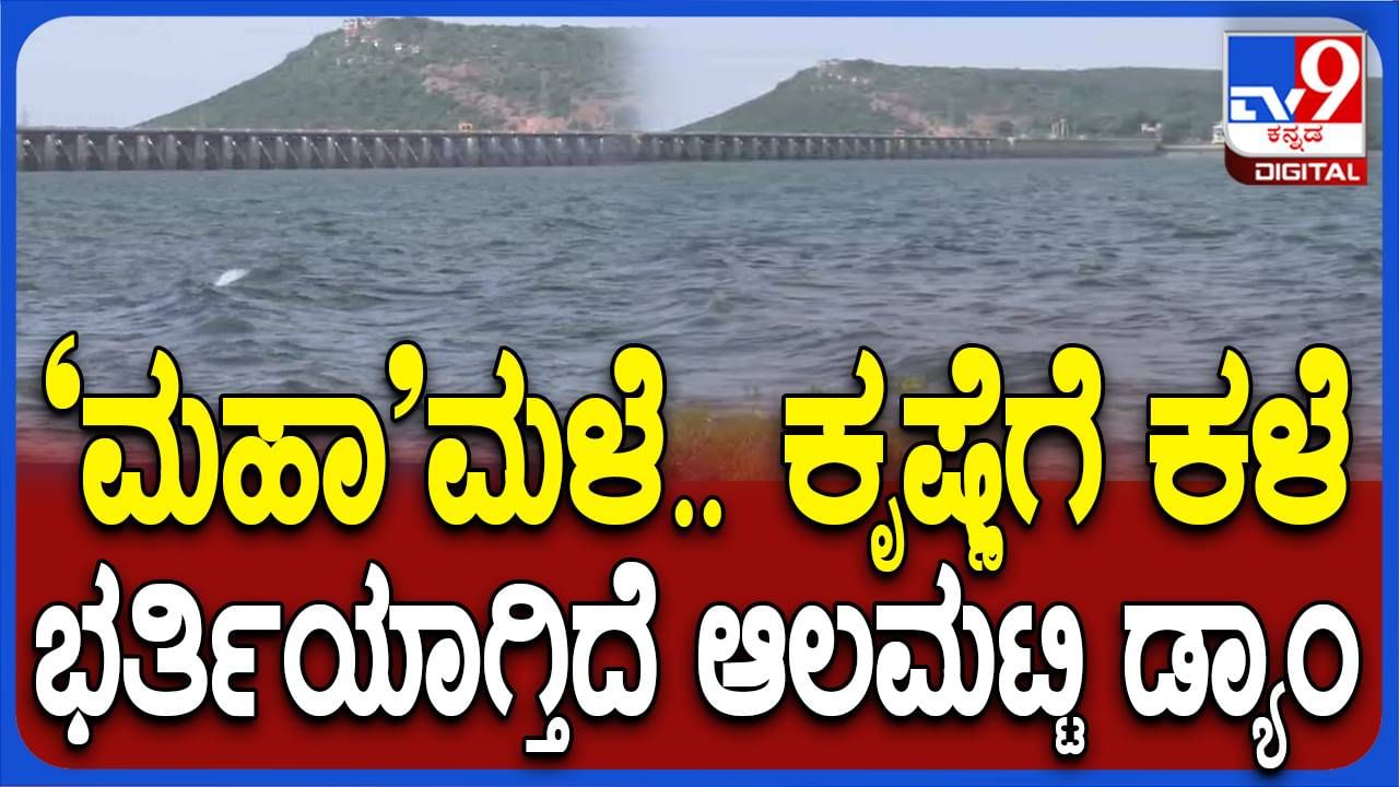 ವಿಜಯಪುರ: ಕೃಷ್ಣಾ ನದಿ ಪಾತ್ರದಲ್ಲಿ ಭಾರಿ ಮಳೆ, ಭರ್ತಿಯಾಗುತ್ತಿದೆ ಆಲಮಟ್ಟಿ ಜಲಾಶಯ