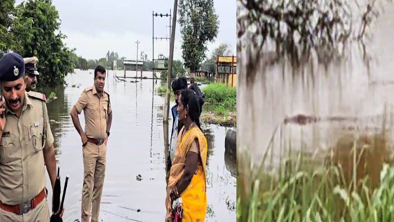 ಬೆಳಗಾವಿ: ನೆರೆಯ ಜೊತೆಗೆ ನದಿ ತೀರದ ಜನರಿಗೆ ಶುರುವಾಯ್ತು ಮೊಸಳೆಗಳ ಆತಂಕ