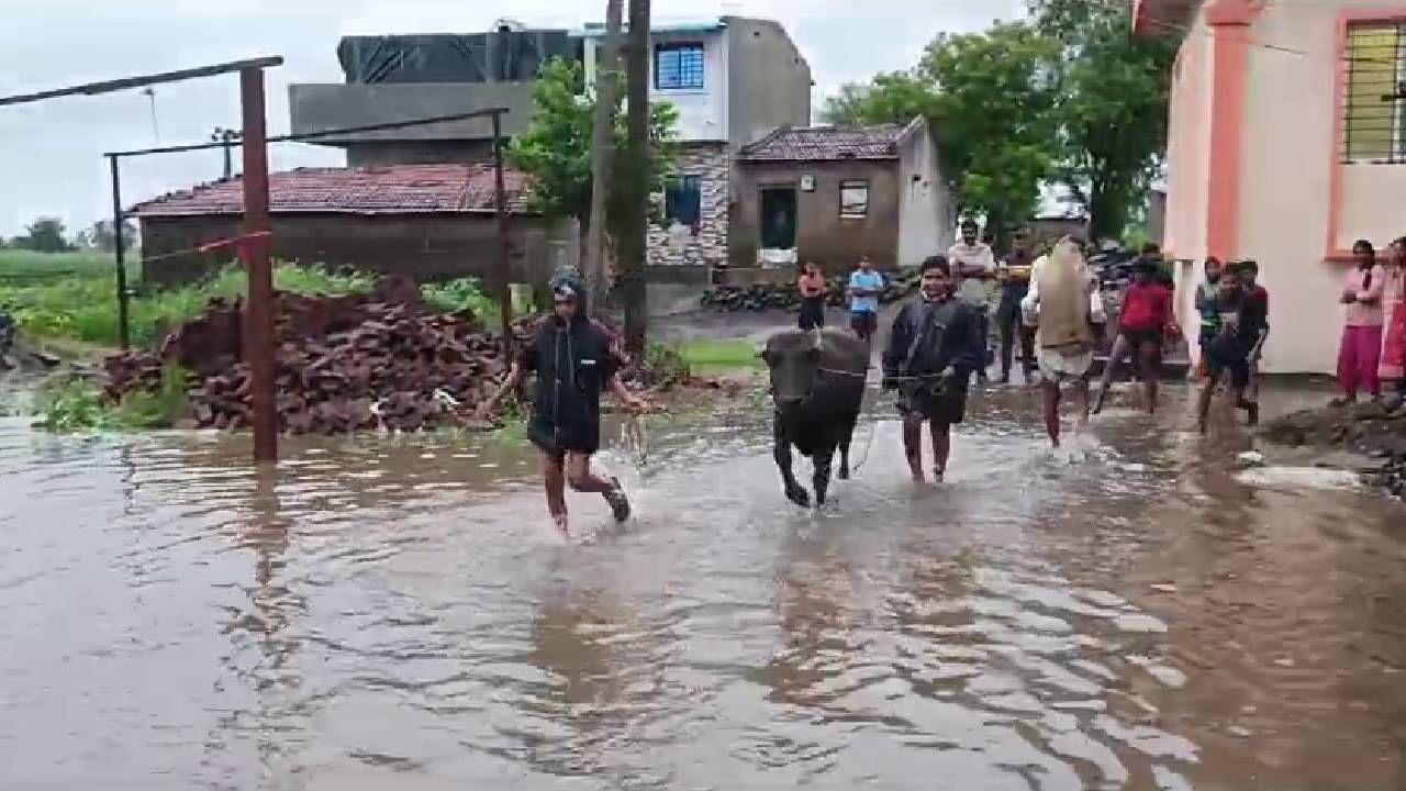 Belagavi Flood: water enter houses, crops, bridges; Here are the photos