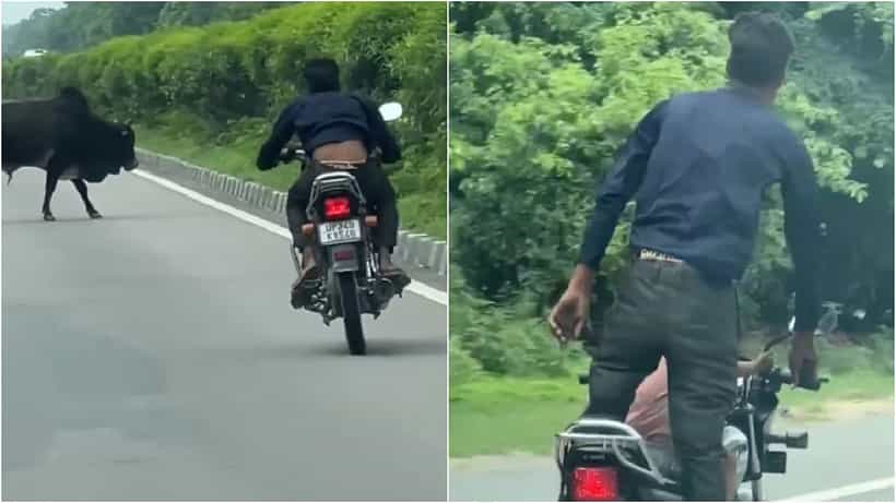 Viral Video: ಚಿಕ್ಕ ಮಗುವನ್ನು ಕೂರಿಸಿಕೊಂಡು ಸ್ಟಂಟ್ ಮಾಡುವಾಗ ಬೈಕ್ಗೆ ಅಡ್ಡಬಂದ ಗೂಳಿ; ಶಾಕಿಂಗ್ ವಿಡಿಯೋ ಇಲ್ಲಿದೆ