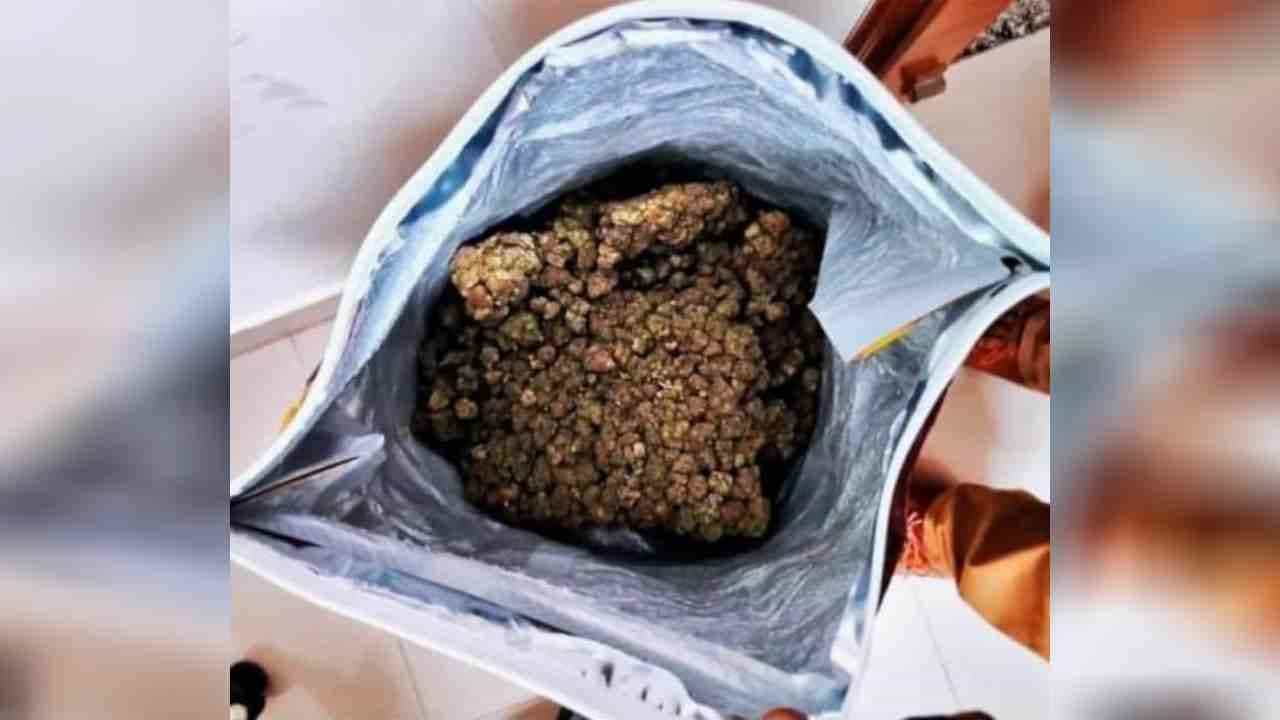 ಬೆಂಗಳೂರಿನಲ್ಲಿ 5 ಕೋಟಿಗೂ ಅಧಿಕ ಮೌಲ್ಯದ ಗಂಧ ತುಂಡುಗಳು, ಗಾಂಜಾ ಜಪ್ತಿ ಬೆಂಗಳೂರಿನಲ್ಲಿ 5 ಕೋಟಿಗೂ ಅಧಿಕ ಮೌಲ್ಯದ ಗಂಧ ತುಂಡುಗಳು, ಗಾಂಜಾ ಜಪ್ತಿ